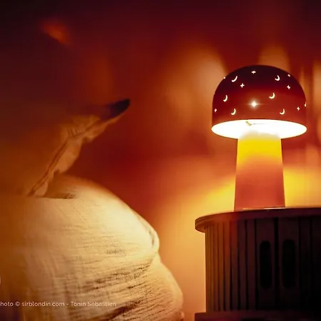 Confort, Centre-ville Et Garage Prive