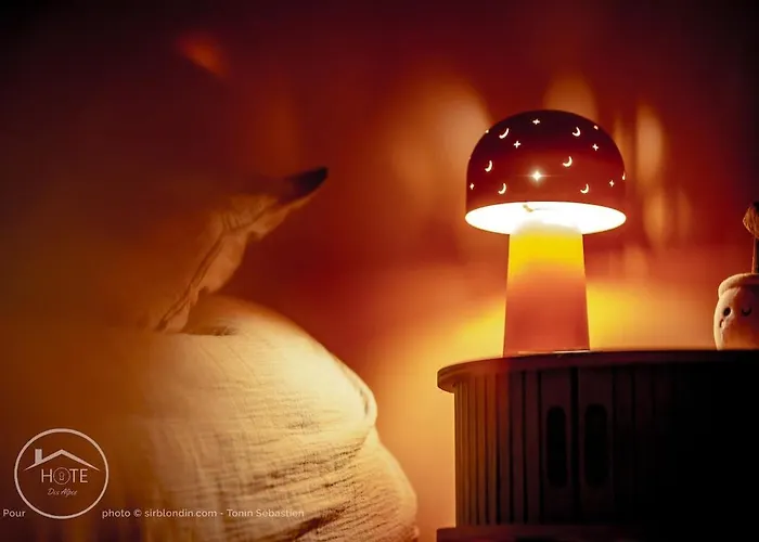 Confort, Centre-ville Et Garage Prive